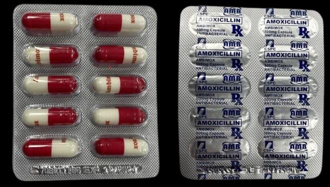 10 x Pharmaceutical Amoxicillin 500mg x 15 Capsules
