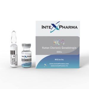 human chorionic gonadotropin (HCG)